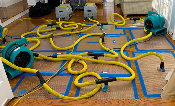 Professional Sewage Cleanup technician working in Oakland, TX